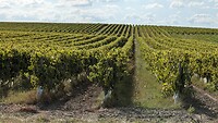 Lignières-Ambleville
