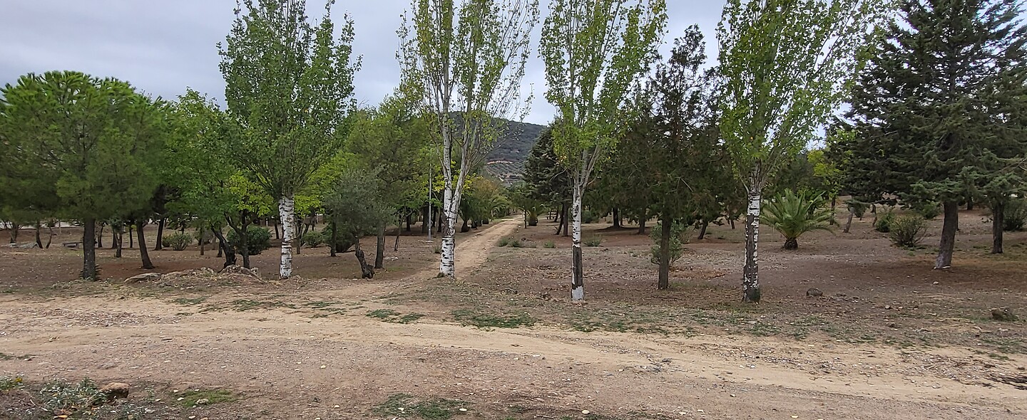 Monesterio