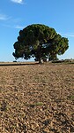 Finca Angela