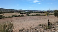 Puerto Serrano