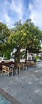 Marbella