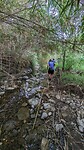 4-Days-Walk Marbella