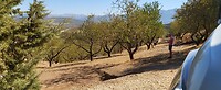 Villanueva del Rosario