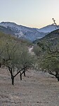 Villanueva del Rosario