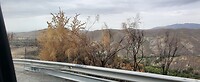 Sierra Nevada
