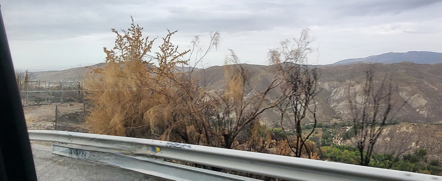 Sierra Nevada