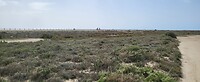 Roquetas de Mar