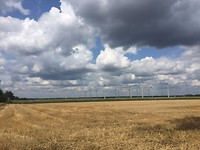 IMG_5918