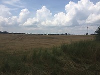 IMG_5934