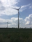 IMG_5935