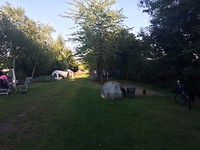 IMG_5953