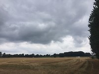 IMG_5957