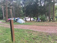 IMG_5960