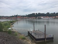 IMG_5966