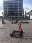 IMG_5975
