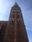 IMG_5982