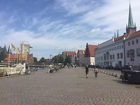 IMG_5991