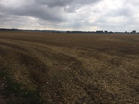 IMG_6055