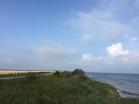 IMG_6081
