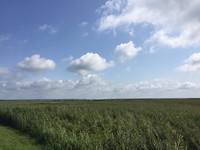 IMG_6086