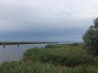 IMG_6092
