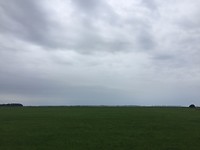 IMG_6096