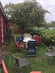 IMG_6100