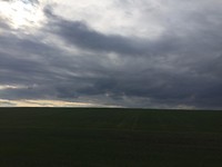 IMG_6139