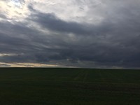 IMG_6140