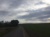 IMG_6141