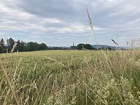 Klein kerkje, achter korenveld