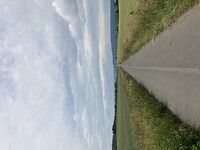 Tussen de korenvelden