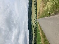 Tussen de korenvelden (2)