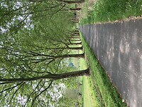Fietspad langs de Weser