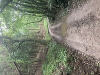 Modderpad