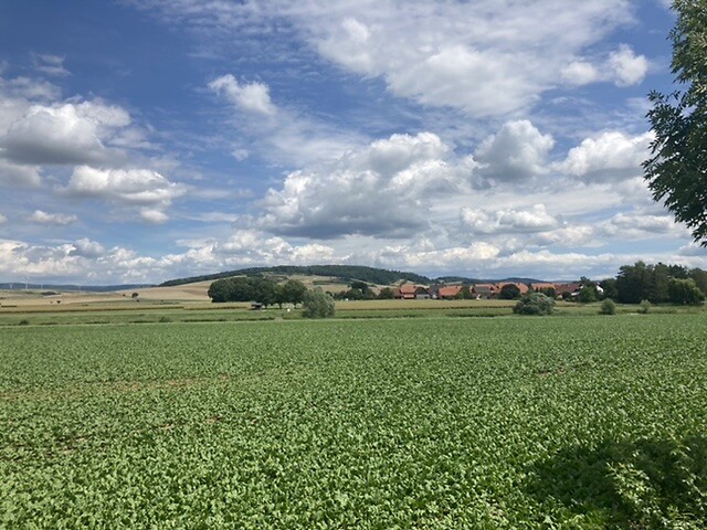 Uitzicht