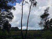 Blauw achter regenwolk