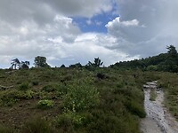 Regenwolk op Archemerberg