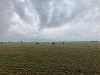 Uitzicht over Dalmholtervelden