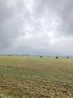 Dalmholter uitzicht over de velden