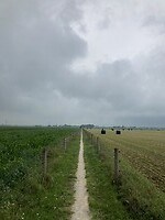 Pad van de Lemelerberg AF
