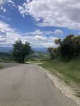 IMG_6781