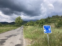 IMG_6782