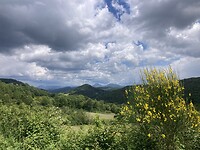 IMG_6783