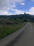 IMG_6785