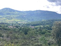 IMG_6786