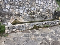 IMG_6811
