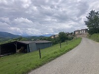 IMG_6810