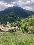 IMG_6806