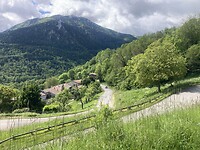 IMG_6805